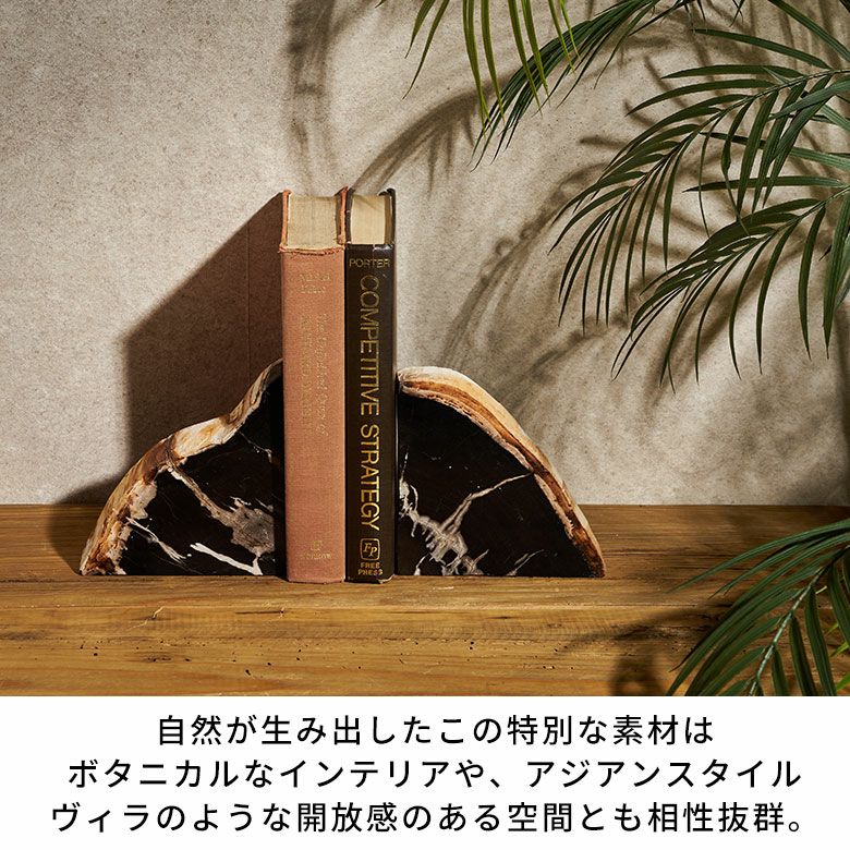 大自然の歴史を纏う木の化石フォッシルストーンで作られたブックエンド
