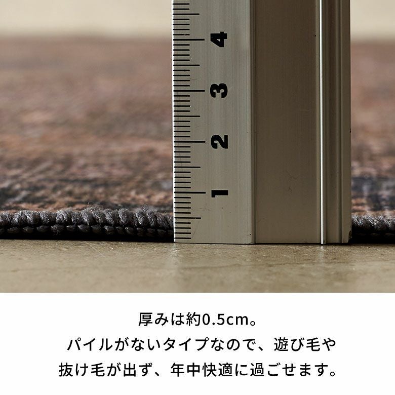 ビンテージ風のかすれを再現したペルシャデザインのおしゃれな玄関