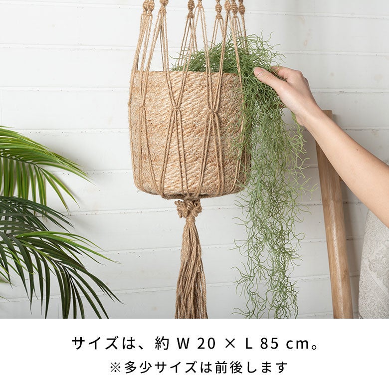 水やり不要のリアルなフェイクグリーン スパニッシュモス[94914