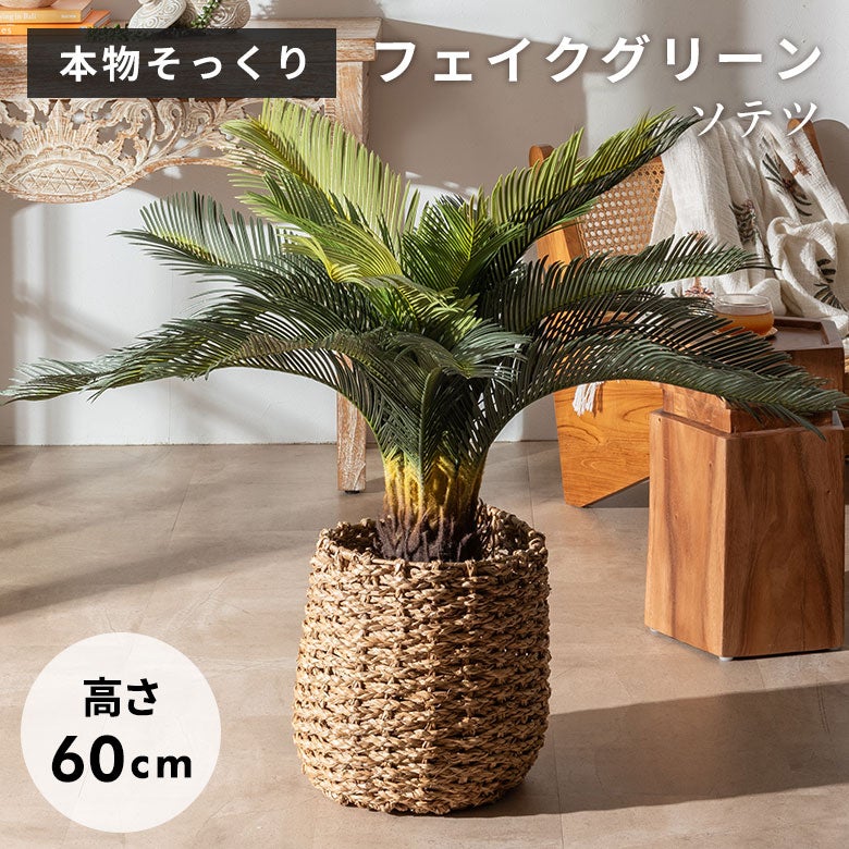水やり不要 リアルを追求したインテリアグリーン ソテツ [67282