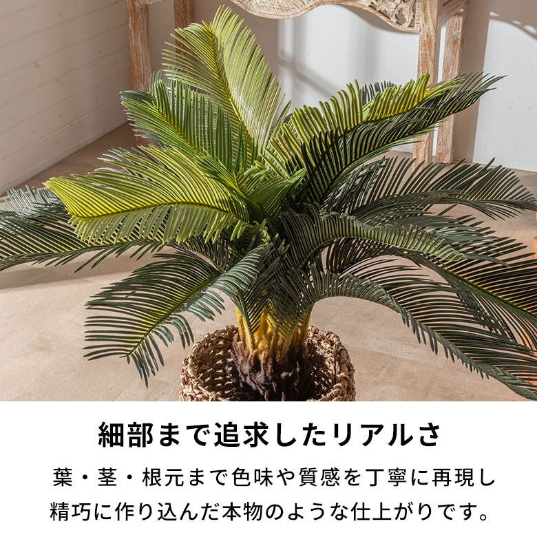水やり不要 リアルを追求したインテリアグリーン ソテツ [67282