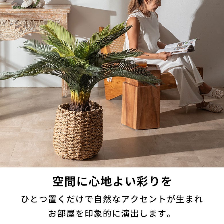 水やり不要 リアルを追求したインテリアグリーン ソテツ [67282